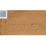 Łucja Bałzukiewicz (1887 Wilno - 1976 Lublin), Pomnik Antoniego Tyzenhauza z katedry w Grodnie, 1913