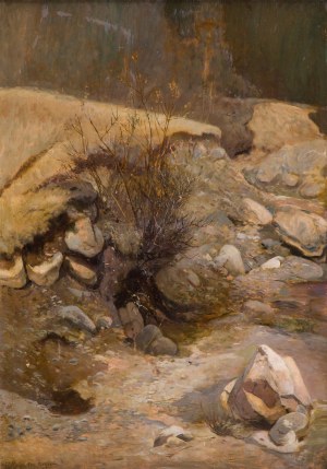 Carl Ernst Morgenstern (1847 Munich - 1928 Wilcza Poręba near Karpacz), Rocks by the stream (Wilcza Poręba)