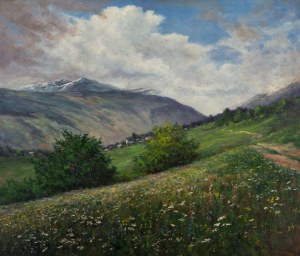 Georg Majewicz (1897 - 1965), Flower meadow in the mountains