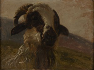 Zefiryn Ćwikliński (1871 Lviv - 1930 Zakopane), Head of a ram