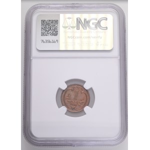 FRANCIS JOSEPH I. 1848-1916 1 Heller 1910 KM#2800 Bronze 1,66g, 17mm, Vienna, NGC8236199-008