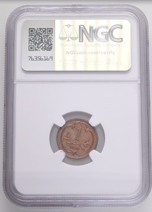 FRANCIS JOSEPH I. 1848-1916 1 Heller 1910 KM#2800 Bronze 1,66g, 17mm, Vienna, NGC8236199-008