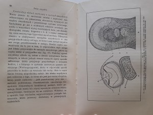 BUDDENBROCK W. - WORLD OF SENSES with 59 drawings Bibljoteka Wiedzy Vol. 7