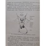 GIERSBERG H.- HORMONY z 45 ilustracjami Bibljoteka Wiedzy Tom 44