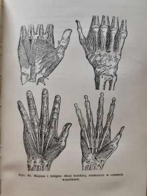 GOLDSCHMIDT R. - INTRODUCTION TO THE SCIENCE OF LIFE with 161 illustrations Bibljoteka Wiedzy Volume 25.