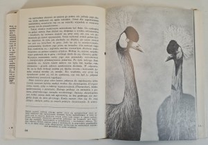 DROSCHER Vitus - THE PRICE OF LOVE, ed.1980