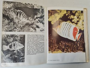 FRANK Stanislaw - GREAT ATLAS OF FISH, ed.1982 [ALBUM].