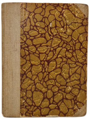 ASNYK Adam - WYBÓR POEZYJ Narodowa Biblioteka Narodowa nr.67, Serja I, wyd.1924