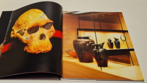 Archäologie: Eine Reise durch die Menschheitsgeschichte (Archaeology: a journey through human history) + DVD