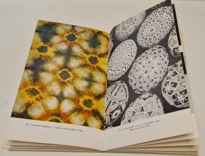 Holečková Květa - Batik and batik making in Czech. / Batika a batikování (Batik).
