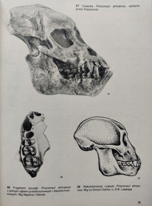 JELINEK Jan- GREAT ATLAS OF THE PRAHISTORY OF MAN