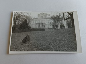 PHOTO GOLDEN STREAM RACZYNSKI PALACE