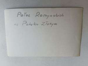 PHOTO GOLDEN STREAM RACZYNSKI PALACE