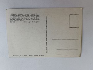 POSTCARD GLIWICE DANCING FAUNA, FOT GAJDZIK