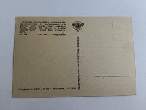 POSTCARD SZKLARSKA PORĘBA, KARKONOSZE, FOT PRZYPKOWSKI