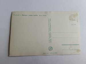 POSTCARD GOLUB DRWECA AND CASTLE RUINS