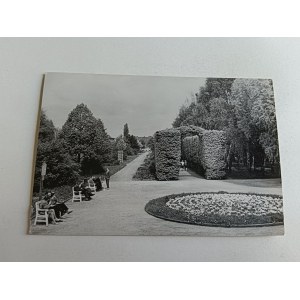 POCZTÓWKA PRL KOŹMIN PARK