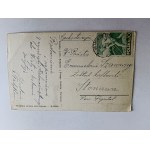 POCZTÓWKA WISŁA DOM ZDROJOWY, ZNACZEK, STEMPEL