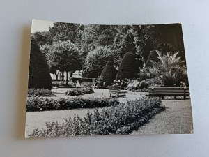 POSTCARD PRL DUSZNIKI ZDRÓJ FRAGMENT OF A PARK