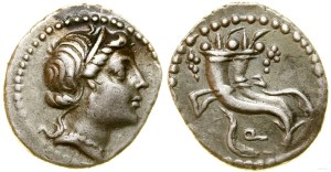 Roman Republic, denarius, 81 BC, Rome