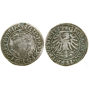 Poland, penny, 1534, Torun