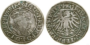 Poland, penny, 1534, Torun