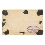 Ciechanow - Police and officials (237)