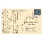 Busko - Flowers in front of the Plant (943)