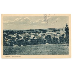 Zbarazh - General view (469)