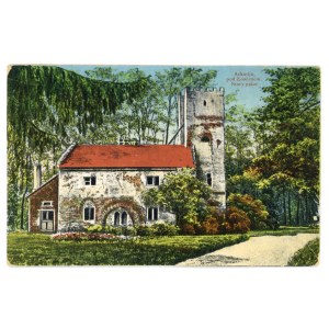 Arkadia u Łowicze - Starý palác (820)