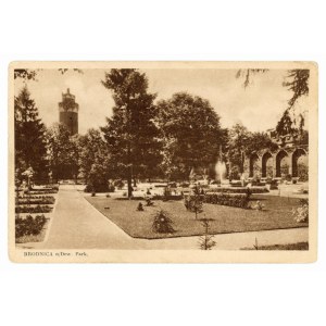 Brodnica nad Drwęcą - Park (1649)