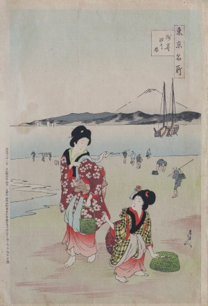 Toyohara Chikanobu (1838-1912), Famous places in Tokyo: Collecting shellfish at Shiohama in Sōzaki, Japan, 1903.