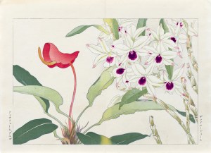 Tanigami Konan (1879-1928), Anturium i dendrobium, wyd. Unsodo, Kioto/Japonia, 1917 r.