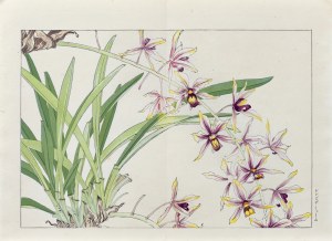 Tanigami Konan (1879-1928), Laelia, published by Unsodo, Kyoto/Japan, 1917.