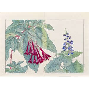 Tanigami Konan (1879-1928), Fuchsie, vydalo Unsodo, Kjóto/Japonsko, 1917.
