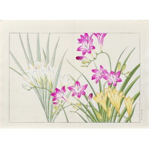 Tanigami Konan (1879-1928), Frezja, wyd. Unsodo, Kioto/Japonia, 1917 r.