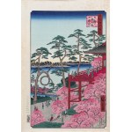 查看相似的
