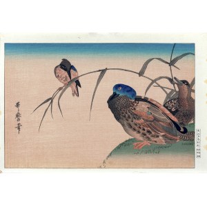 Kitagawa Utamaro (1753-1806), Zimorodek i kaczki, z serii: Wiesze dopasowane do niezliczonych ptaków, wyd. Oedo Mokuhansha, Tokio/Japonia, okres Showa, po 1960 r.