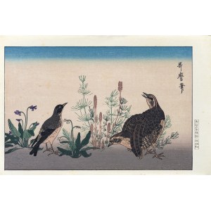 Kitagawa Utamaro (1753-1806), Przepiórka i skowronek, z serii: Wiesze dopasowane do niezliczonych ptaków, wyd. Oedo Mokuhansha, Tokio/Japonia, okres Showa, po 1960 r.