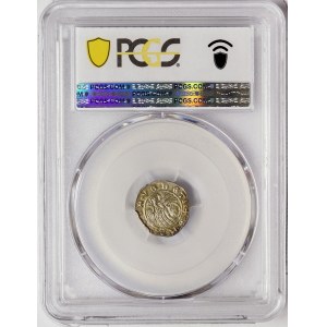 Venice, Andrea Contarini, Soldino con il leone in soldo n.d.