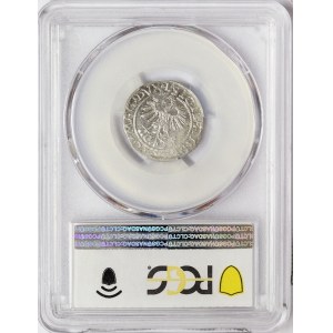 Lithuania, Sigismund II Augustus, 1/2 Groat 1560