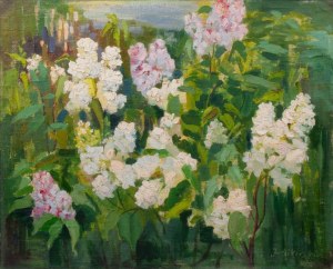 Jan Sikorski, Wild Lilacs, 1923.