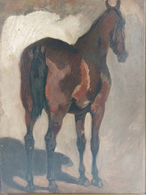 Horse, 19th century?