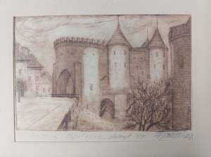 Felicja Potyńska, Steel engraving, Warsaw, Barbican