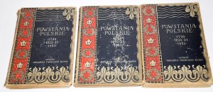 BARTOSZEWICZ Kazimierz, SOKOŁOWSKI August - Polish Uprisings 1794 - 1830-31 - 1863 [complete].