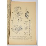 ZALIWSKI Stanisław - Krzewy Jagodowe. Z 154 ilustracjami w tekście. Warszawa 1939.
