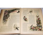 Ueber Land und Meer. Deutsche Illustrirte Zeitung. Band 76. 1896. Numery 27-52.