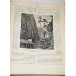 MISSYE Katolickie. Czasopismo miesięczne ilustrowane. Rocznik 11. 1892.
