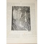 MISSYE Katolickie. Czasopismo miesięczne ilustrowane. Rocznik 11. 1892.