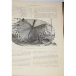 MISSYE Katolickie. Czasopismo miesięczne ilustrowane. Rocznik 11. 1892.